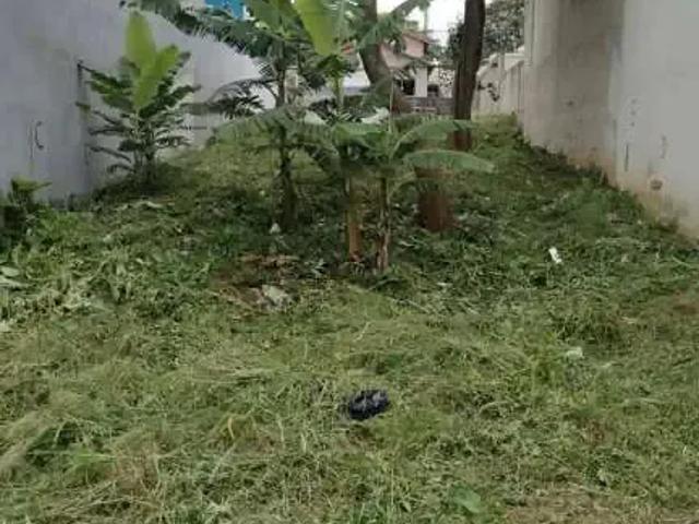 Terreno / Lote para Venda em São Paulo/SP Parada XV de Novembro
