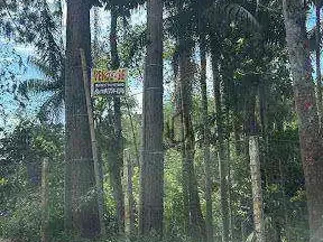 Terreno / Lote para Venda em São Paulo/SP Parelheiros