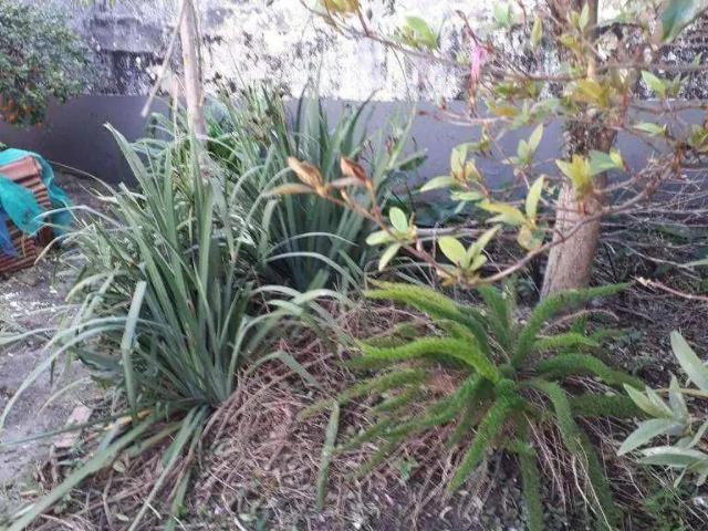 Terreno / Lote para Venda em São Paulo/SP Parque Cruzeiro do Sul