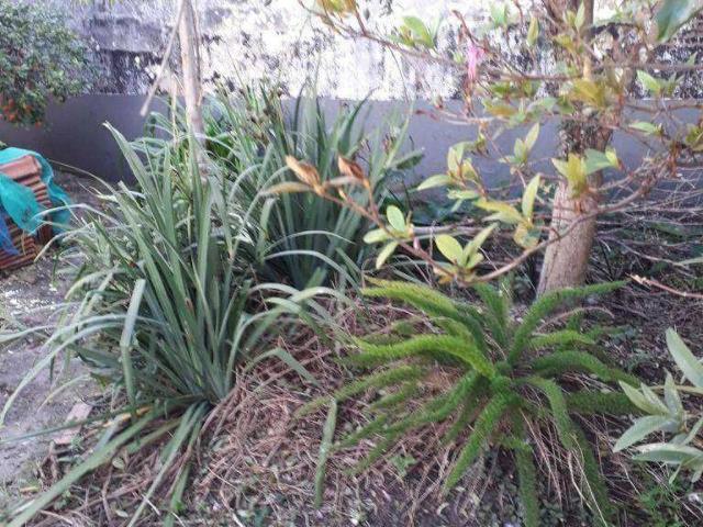 Terreno / Lote para Venda em São Paulo/SP Parque Cruzeiro do Sul
