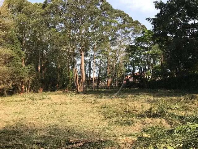Terreno / Lote para Venda em São Paulo/SP Parque Alto do Rio Bonito