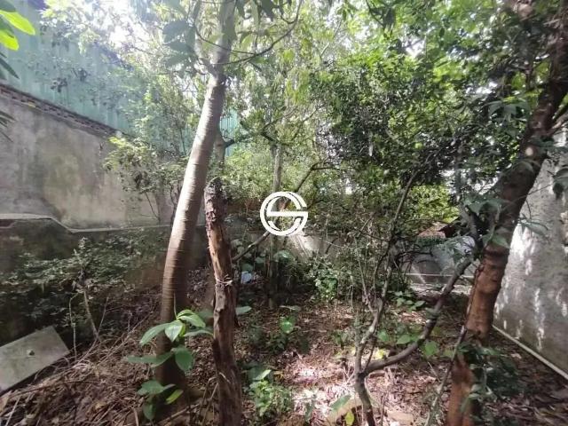 Terreno / Lote para Venda em São Paulo/SP Parque Artur Alvim