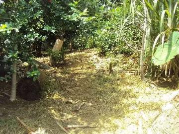 Terreno / Lote para Venda em São Paulo/SP Parque Boturussu