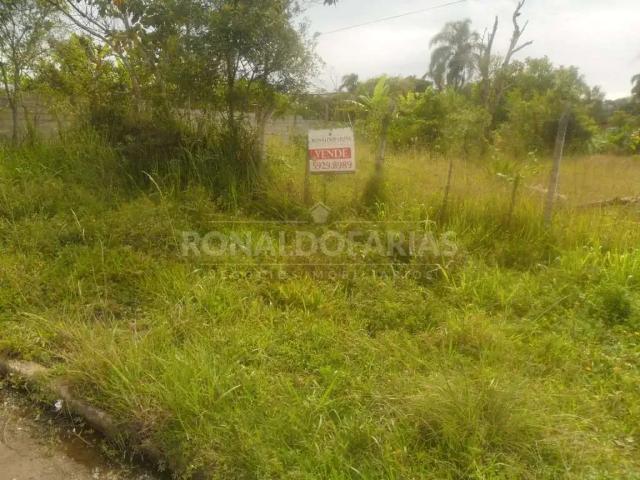 Terreno / Lote para Venda em São Paulo/SP Parque Grajaú
