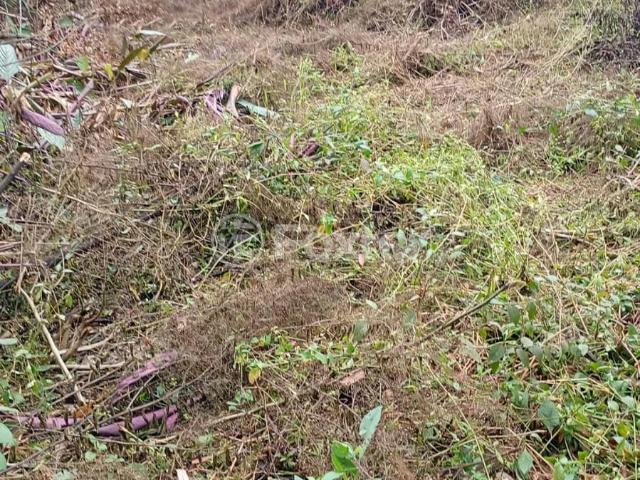 Terreno / Lote para Venda em São Paulo/SP Parque do Castelo