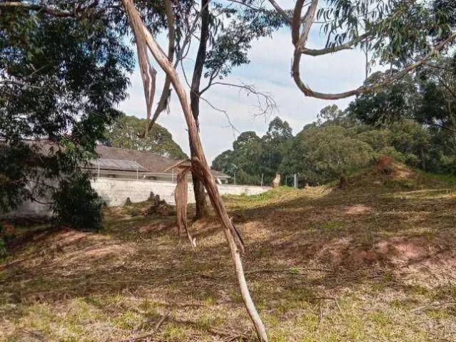 Terreno / Lote para Venda em São Paulo/SP Parque dos Príncipes