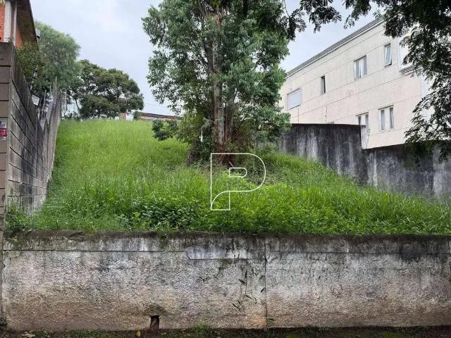 Terreno / Lote para Venda em São Paulo/SP Parque dos Príncipes
