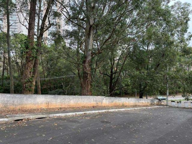 Terreno / Lote para Venda em São Paulo/SP Parque dos Príncipes