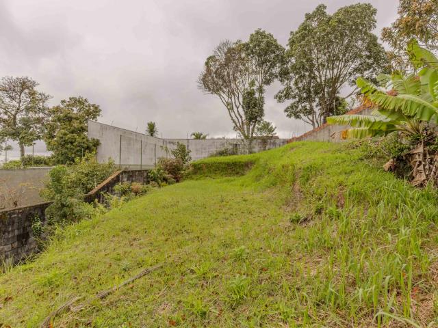Terreno / Lote para Venda em São Paulo/SP Parque dos Príncipes 1 Quartos