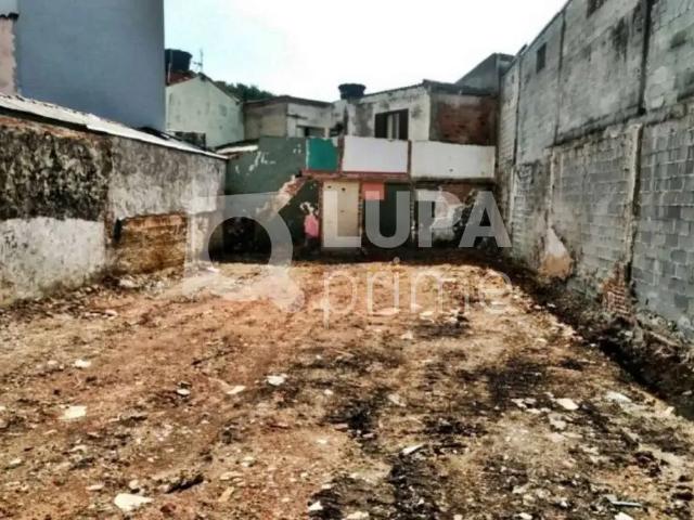 Terreno / Lote para Venda em São Paulo/SP Parque Edu Chaves