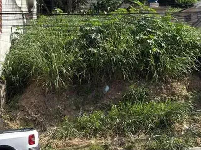 Terreno / Lote para Venda em São Paulo/SP Parque Esmeralda