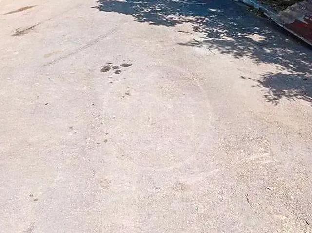 Terreno / Lote para Venda em São Paulo/SP Parque Florestal