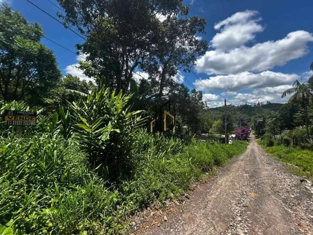 Terreno / Lote para Venda em São Paulo/SP Parque Florestal