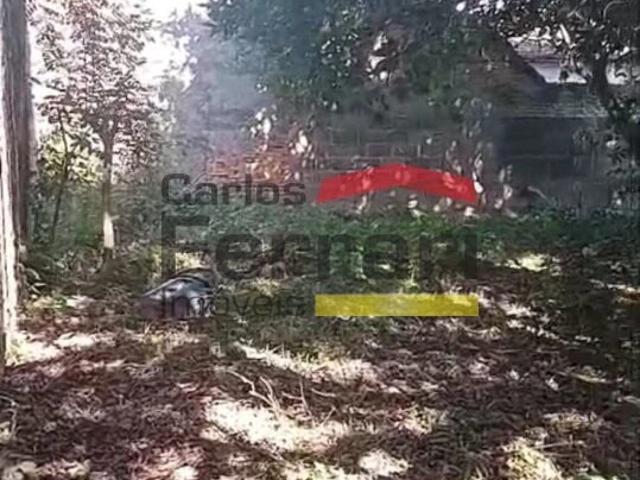 Terreno / Lote para Venda em São Paulo/SP Parque Mandaqui