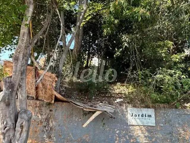 Terreno / Lote para Venda em São Paulo/SP Parque Mandaqui