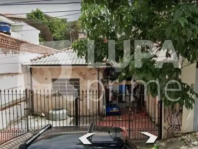 Terreno / Lote para Venda em São Paulo/SP Parque Mandaqui