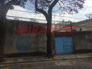 Terreno / Lote para Venda em São Paulo/SP Parque Mandaqui