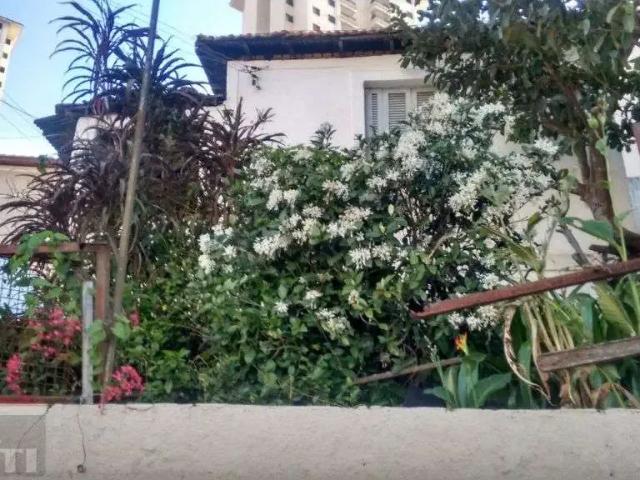 Terreno / Lote para Venda em São Paulo/SP Parque Mandaqui