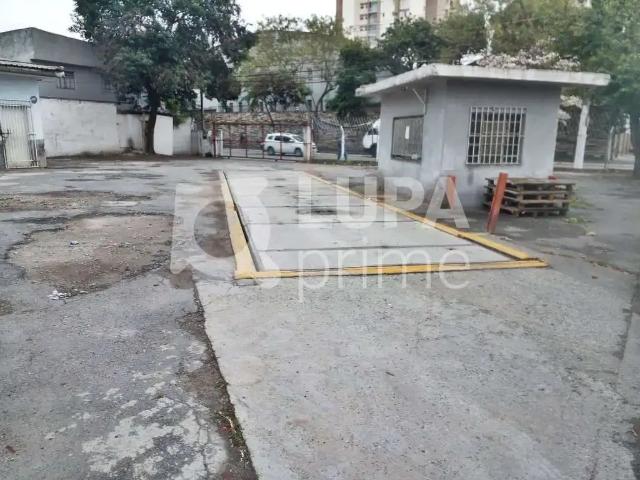 Terreno / Lote para Venda em São Paulo/SP Parque Novo Mundo