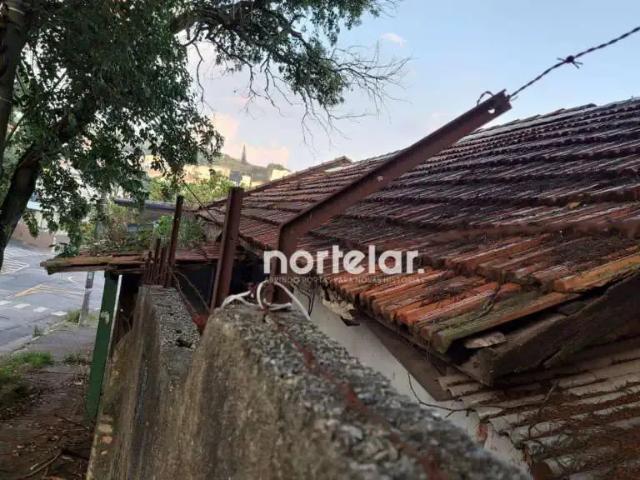Terreno / Lote para Venda em São Paulo/SP Parque São Domingos