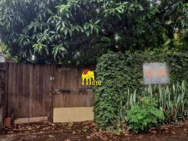 Terreno / Lote para Venda em São Paulo/SP Parque São Domingos