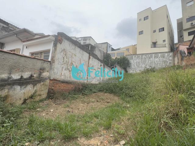 Terreno / Lote para Venda em São Paulo/SP Parque São Domingos