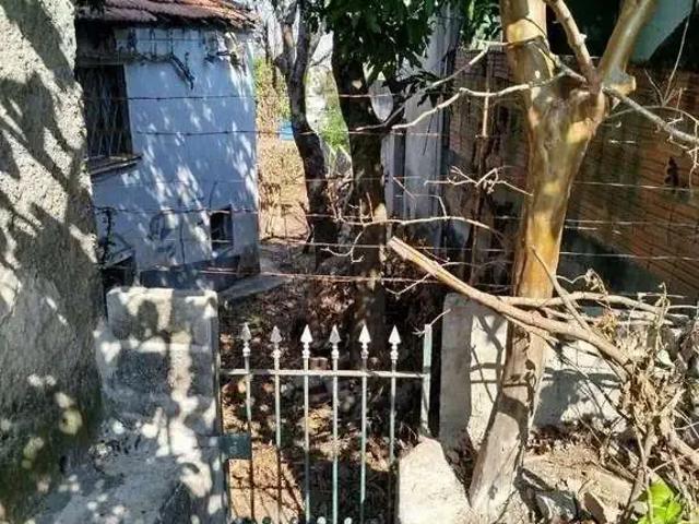 Terreno / Lote para Venda em São Paulo/SP Parque São Domingos