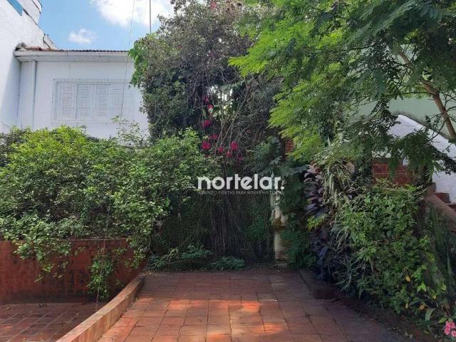 Terreno / Lote para Venda em São Paulo/SP Parque São Domingos