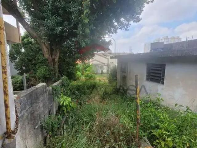 Terreno / Lote para Venda em São Paulo/SP Parque São Lucas