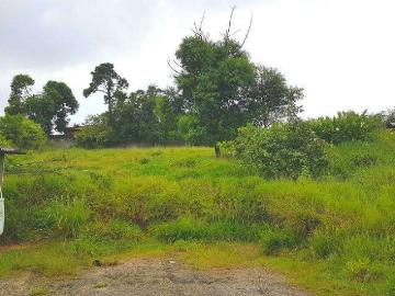 Terreno / Lote para Venda em São Paulo/SP Parque São Rafael
