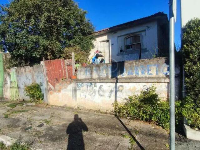 Terreno / Lote para Venda em São Paulo/SP Parque São Rafael