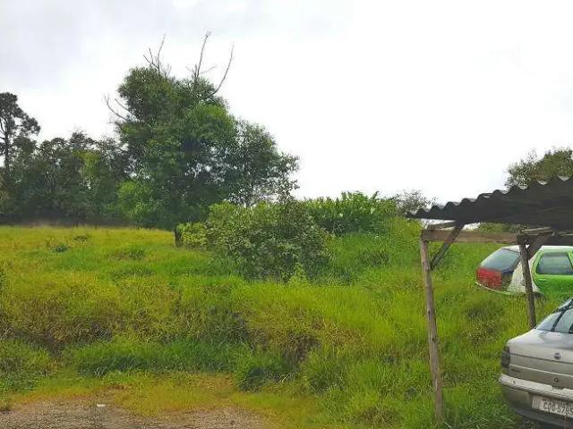 Terreno / Lote para Venda em São Paulo/SP Parque São Rafael