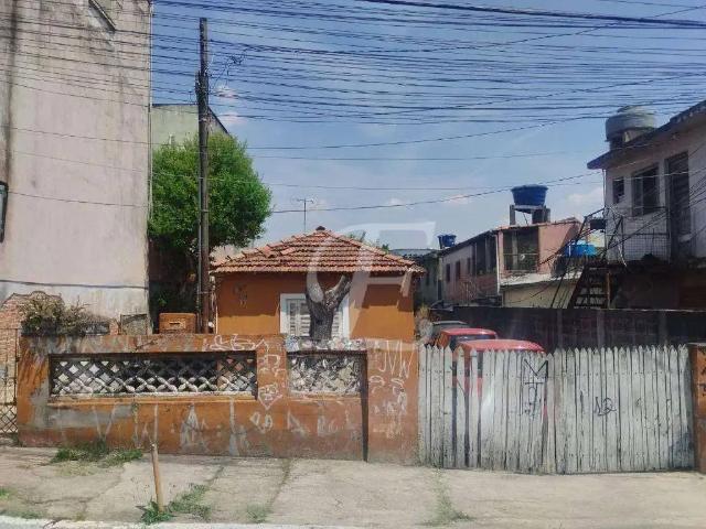 Terreno / Lote para Venda em São Paulo/SP Parque Peruche