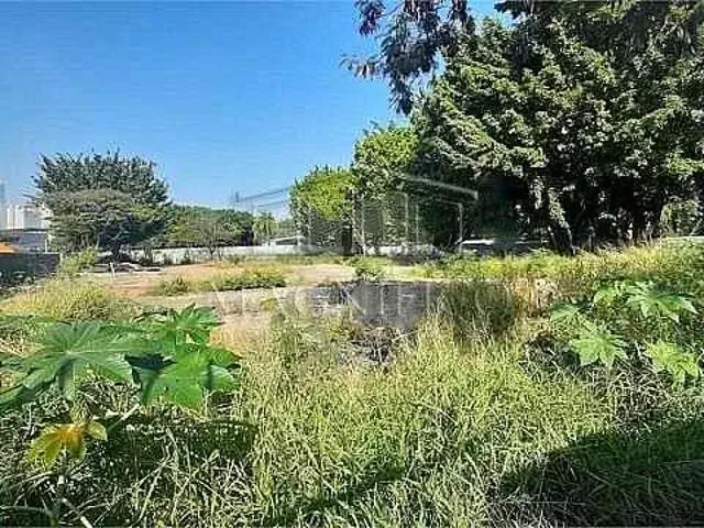 Terreno / Lote para Venda em São Paulo/SP Parque Residencial da Lapa