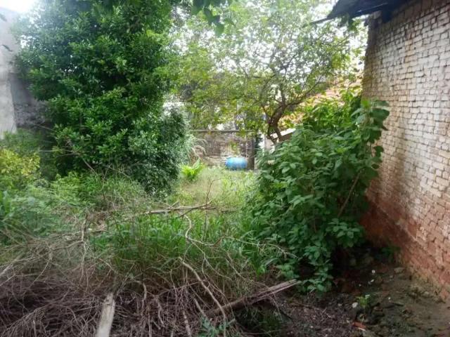 Terreno / Lote para Venda em São Paulo/SP Penha