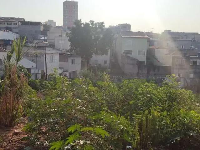 Terreno / Lote para Venda em São Paulo/SP Penha