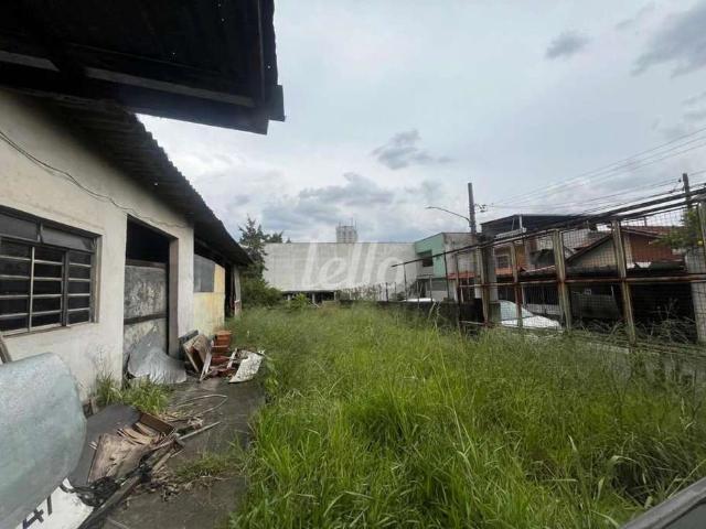 Terreno / Lote para Venda em São Paulo/SP Penha De França