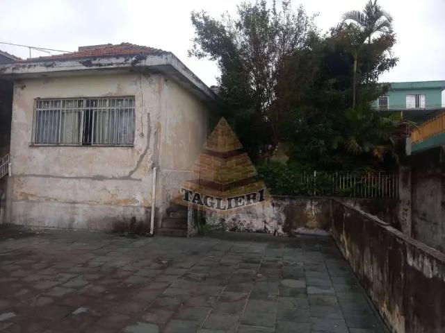 Terreno / Lote para Venda em São Paulo/SP Penha De França