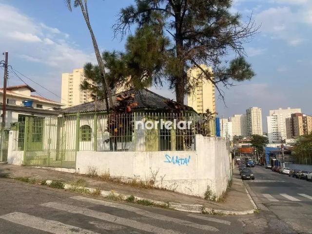 Terreno / Lote para Venda em São Paulo/SP Pirituba