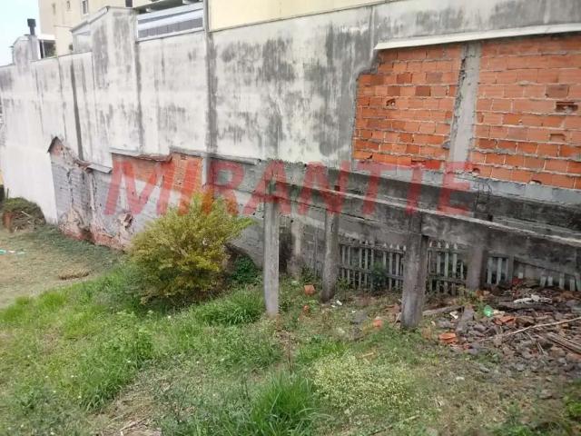 Terreno / Lote para Venda em São Paulo/SP Pirituba