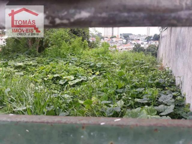 Terreno / Lote para Venda em São Paulo/SP Pirituba