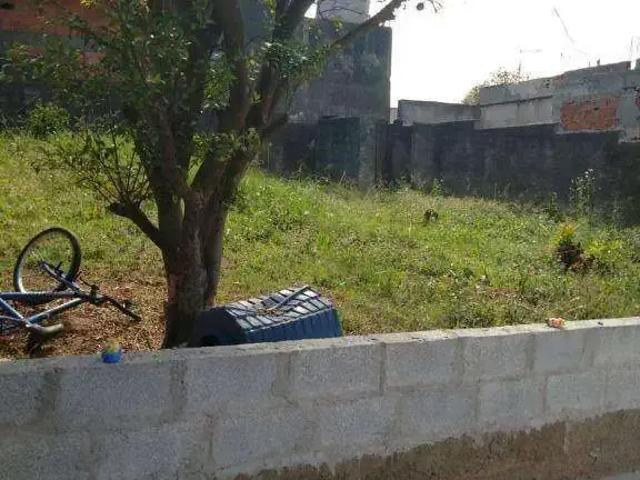 Terreno / Lote para Venda em São Paulo/SP Pirituba