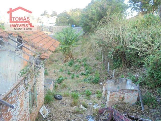 Terreno / Lote para Venda em São Paulo/SP Pirituba