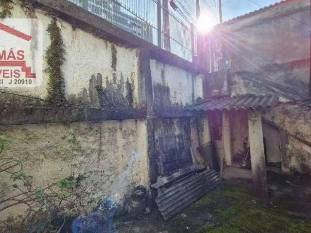 Terreno / Lote para Venda em São Paulo/SP Pirituba