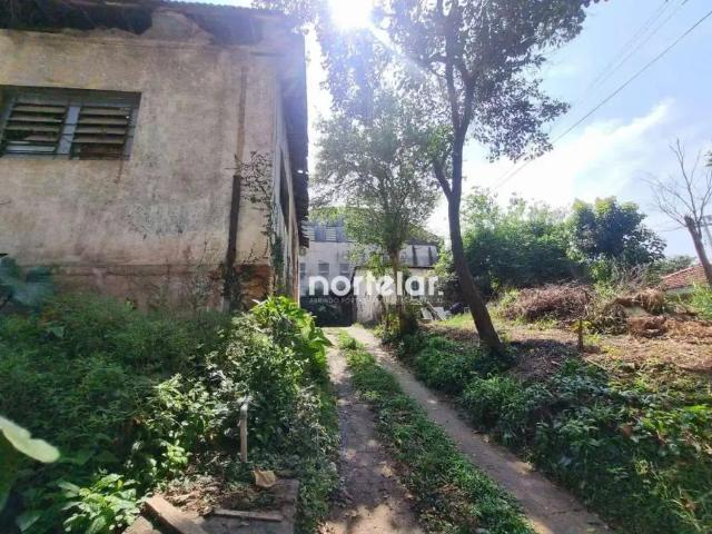 Terreno / Lote para Venda em São Paulo/SP Pirituba