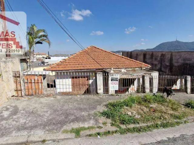 Terreno / Lote para Venda em São Paulo/SP Pirituba