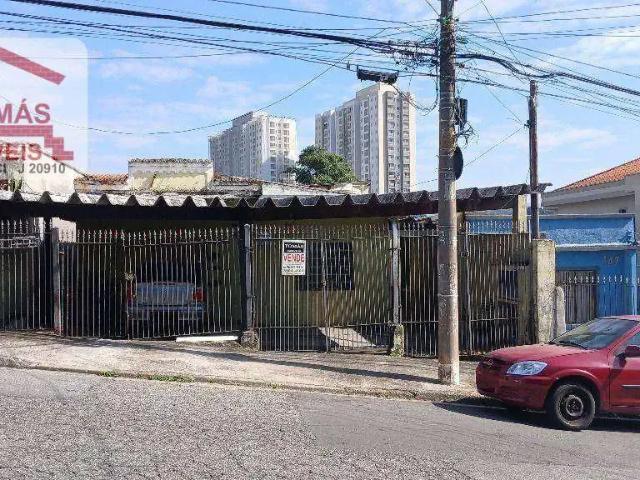 Terreno / Lote para Venda em São Paulo/SP Pirituba