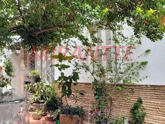 Terreno / Lote para Venda em São Paulo/SP Pirituba