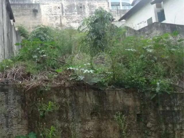Terreno / Lote para Venda em São Paulo/SP Pirituba