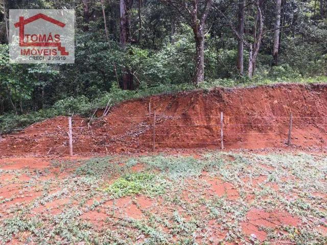 Terreno / Lote para Venda em São Paulo/SP Pirituba